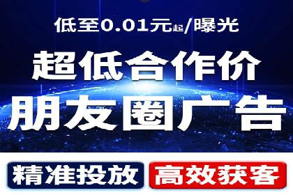 案例解析：竞价广告效果评估与优化